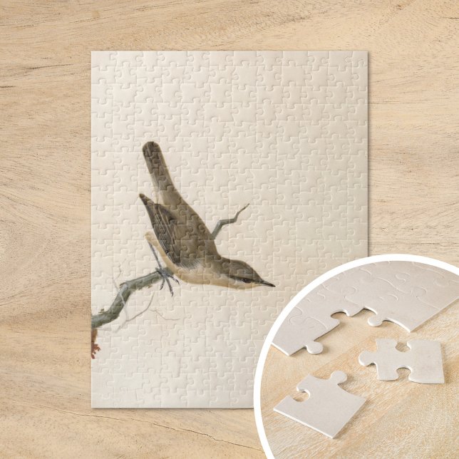 Warbler Reed Wren | William Lewin Jigsaw Puzzle (Creator Uploaded)
