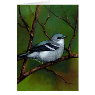 Warbler: Wildlife Art in Oil Pastel: Bird