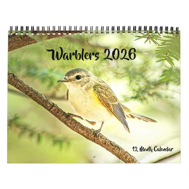 Warblers 12 Month Wall Calendar 2026 (Cover)