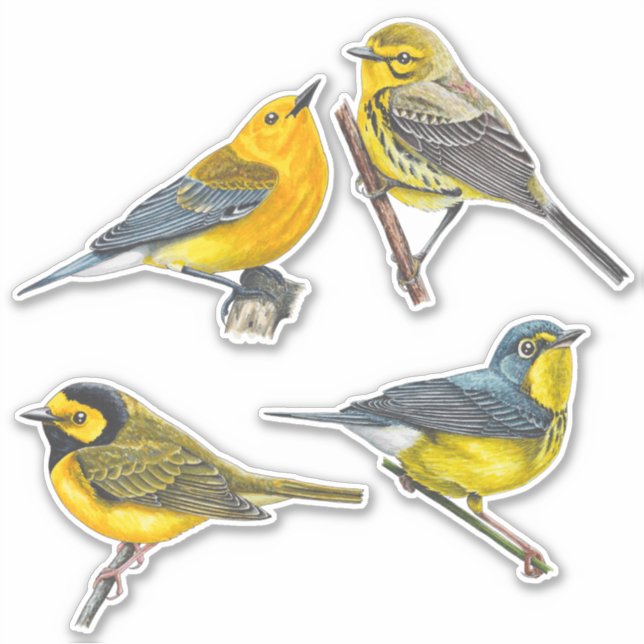 Warblers Stickers Value Pack (Front)
