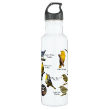 Warblers Water Bottle