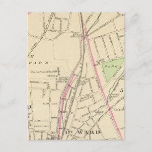 Ward 15, New Haven Postcard