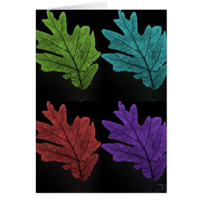 warholesque leaf (Front)