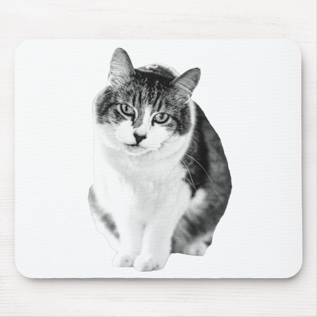 Warm Calm Focus Mouse Pad (Front)