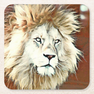 warm coloured animal lion square paper coaster