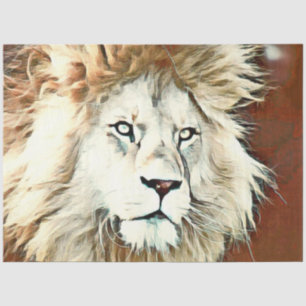 warm coloured animal lion tissue paper