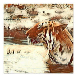 warm coloured swimming tiger photo print