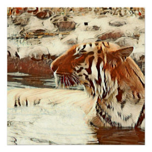 warm coloured swimming tiger poster