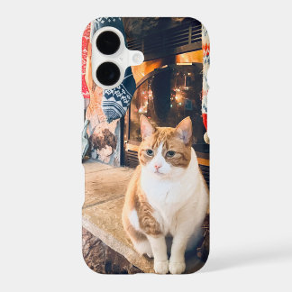 Warm & Cozy Tabby Cat Phone Case