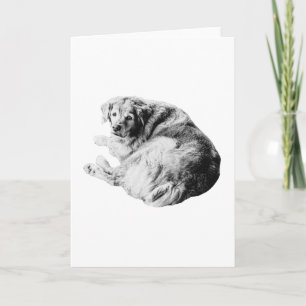 Warm Curl, Open Heart Card