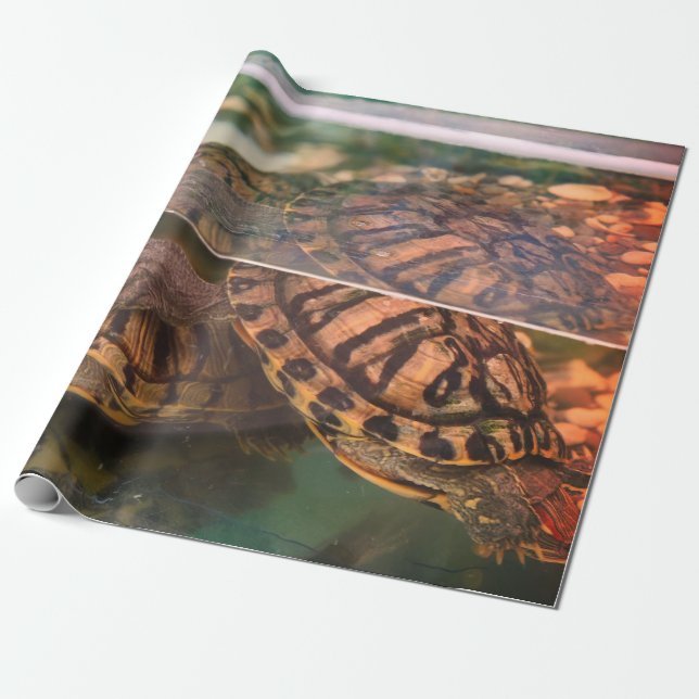 Warm Earth-Tone Turtle Wrapping Paper (Unrolled)