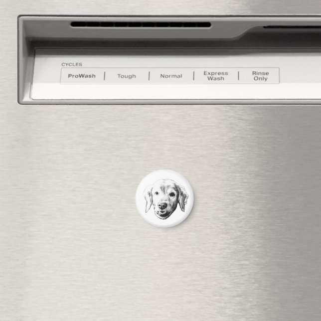 Warm Fridge Friend Magnet (In Situ (Dishwasher))