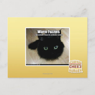 Warm Fuzzies Postcard