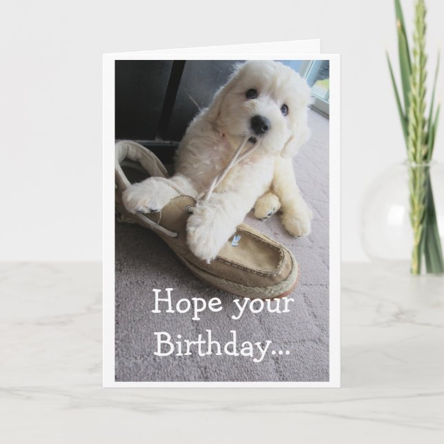 Warm Fuzzy Birthday, Cute Goldendoodle pup Humour Card (Front)