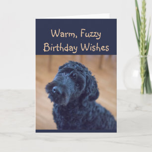 Warm, Fuzzy Birthday Wishes Cute Black Dog Card