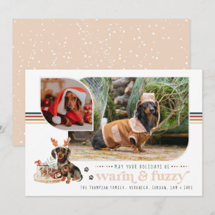 Warm & Fuzzy   Pet Holiday Photo Card