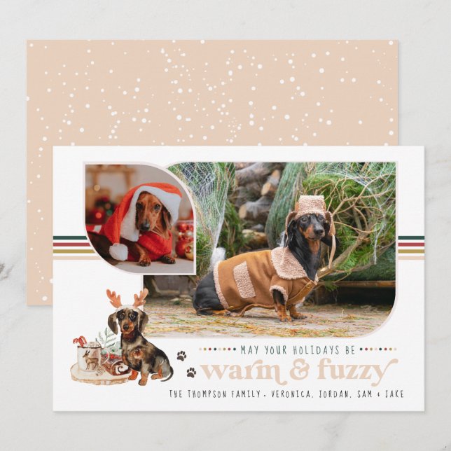 Warm & Fuzzy | Pet Holiday Photo Card (Front/Back)