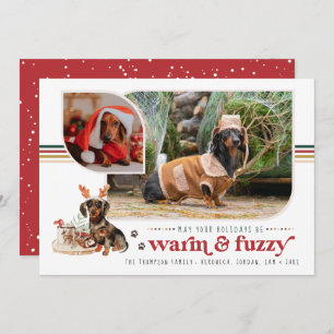 Warm & Fuzzy   Pet Holiday Photo Card