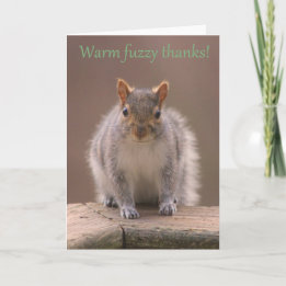 Warm fuzzy squirrel thank you! you card