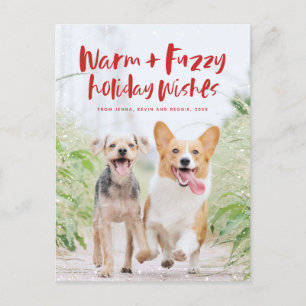 Warm fuzzy wishes holiday pet photo postcard