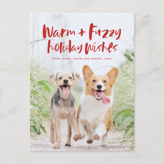 Warm fuzzy wishes holiday pet photo postcard (Front)