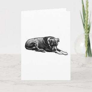 Warm Gaze Dog Card