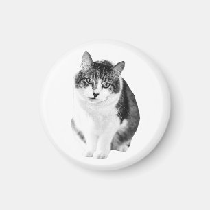 Warm Gentle Shape Magnet