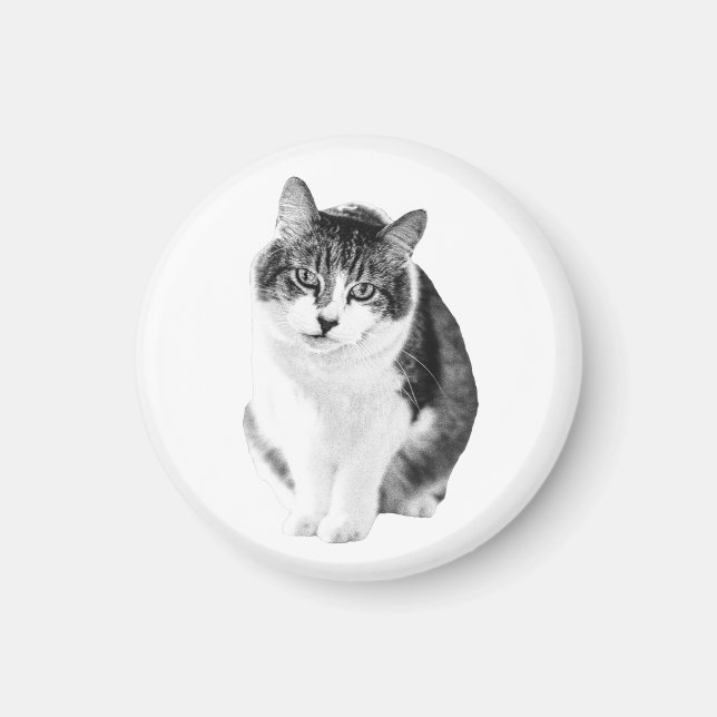 Warm Gentle Shape Magnet (Front)