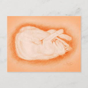 Warm like a Firefly Postcard