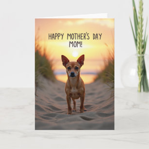 Warm Mothers Day Canine Card
