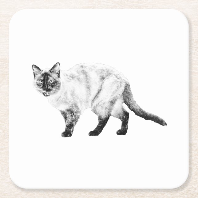 Warm Pause, Lively Cat Coaster (Front)