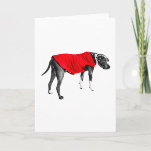 Warm Red, Kind Regards Card