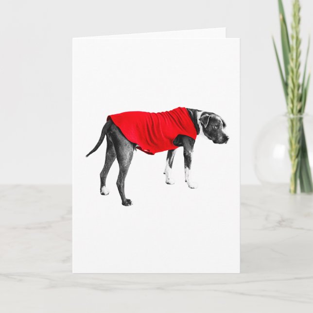 Warm Red, Kind Regards Card (Front)