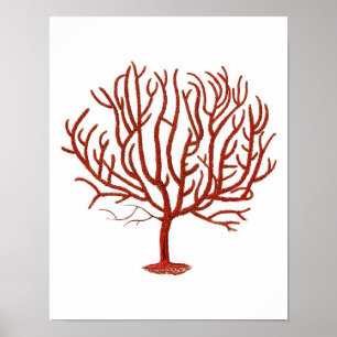 Warm Red Sea Coral no.4 Beach Wall Art Print