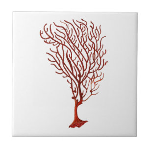 Warm Red Sea Coral no.5 Nautical Decor Tile