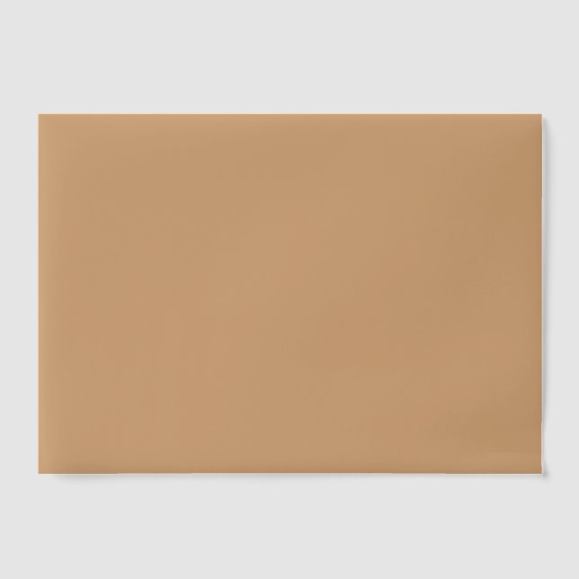 Warm Sand Custom Vellum Overlay Vellum Invitations (Front)