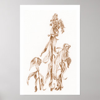 Warm Seasonal Botanical Ink Art Elegant Wall  Poster