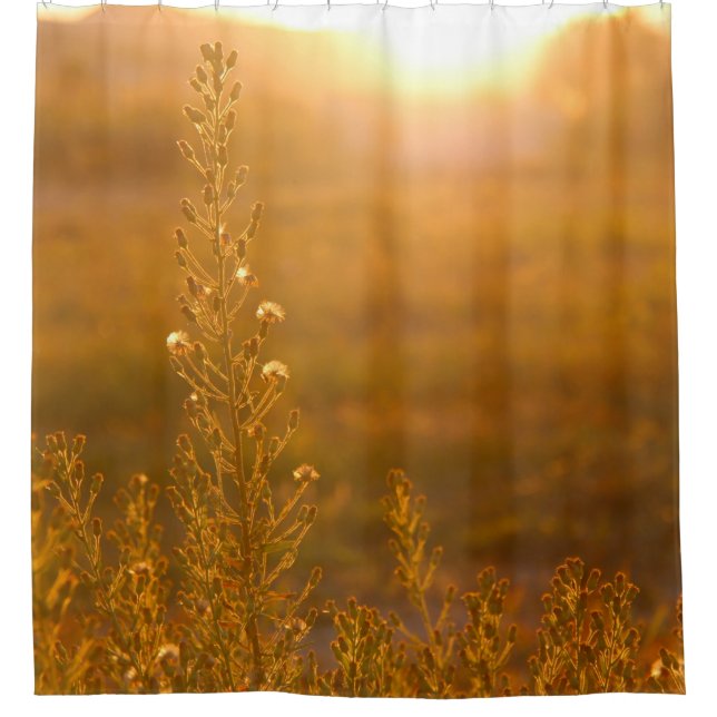 WARM SHOT OF MEADOW GRASS SHOWER CURTAIN (Front)