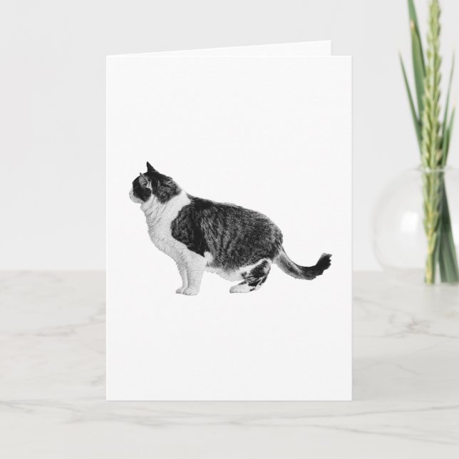Warm Side View, Kind Wishes Card (Front)