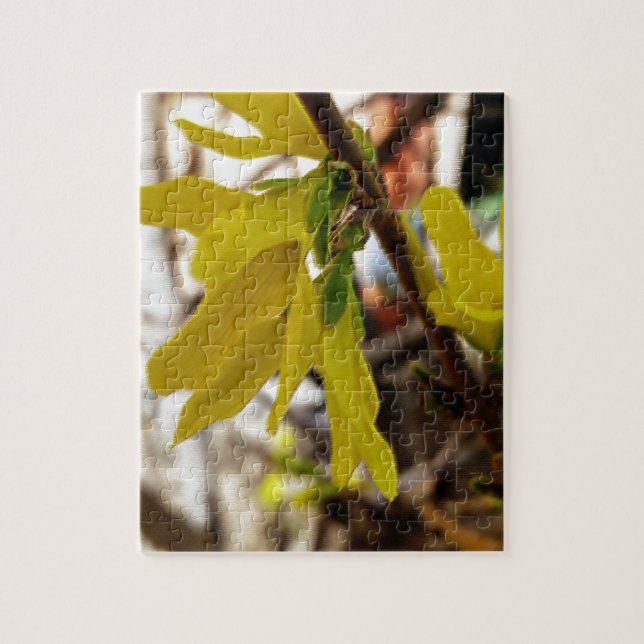 warm spring colours jigsaw puzzle (Vertical)