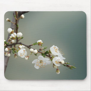 warm spring mouse pad