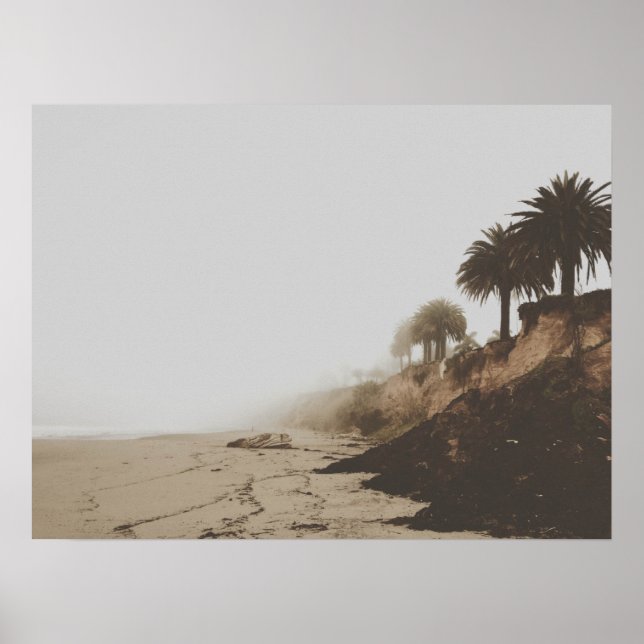 Warm Toned Foggy Beach with Palm Trees Poster (Front)