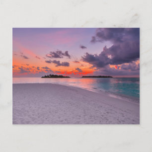 Warm Tropical Paradise Beach Sunset Postcard