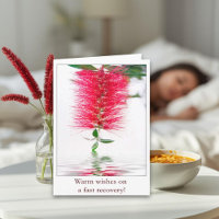 Warm Wishes On A Fast Recovery Red Bottlebrush