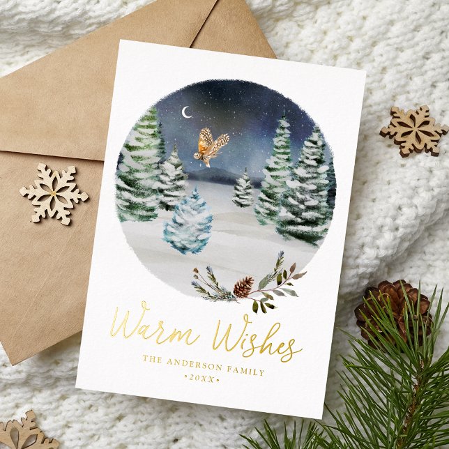 Warm Wishes Woodland Owl Winter Scene Non-Photo Foil Holiday Card (Creator Uploaded)