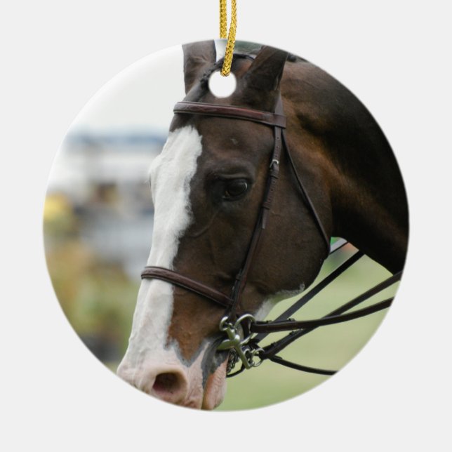 Warmblood Horse Photo Ornament (Front)