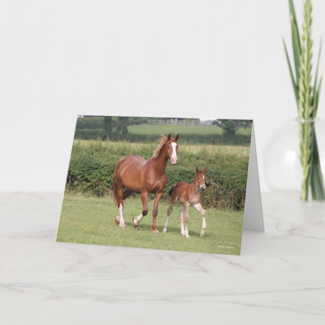 Warmblood Mare and Foal Walking Together Card (Front)