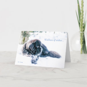 Warmest of wishes... holiday card