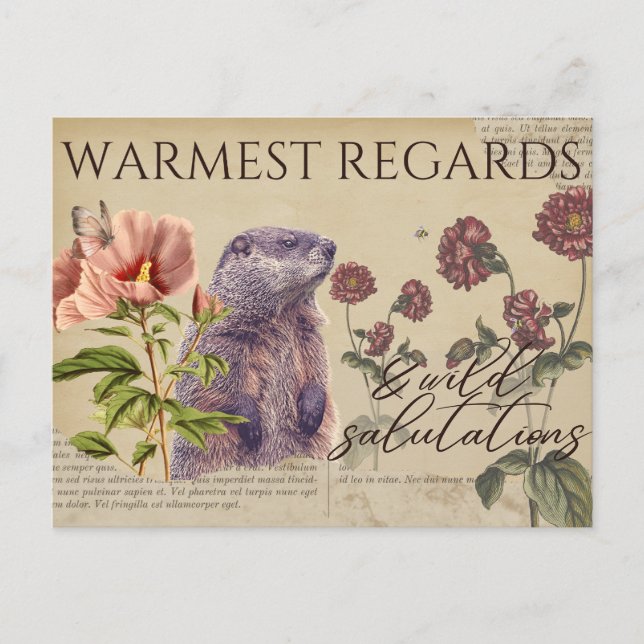 Warmest Regards Woodchuck Vintage-Style Postcards (Front)