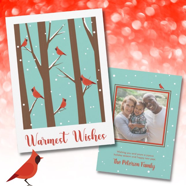 Warmest Wishes Birds Snow Red Photo Holiday Card (Creator Uploaded)